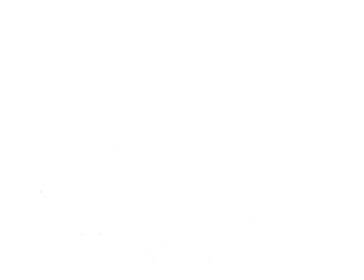 saas-icon-white